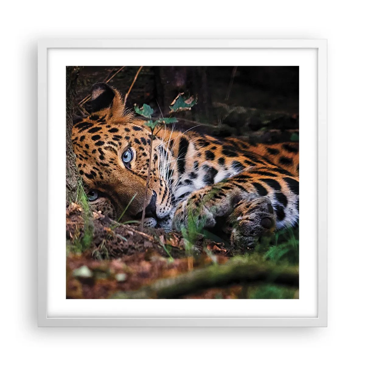 Poszter fekete keretben - Bízz bennem - 50x50 cm