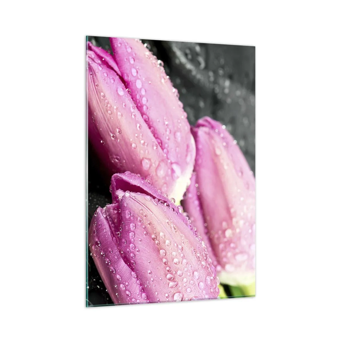 Üveg kép - Lila hármas a fekete kövön - 50x70 cm