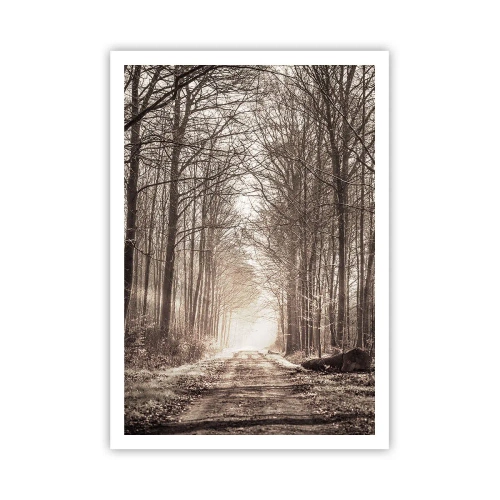 Poszter - Erdei katedrális - 70x100 cm