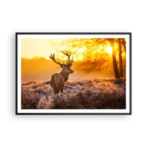 Poszter fehér keretben - Az őszi erdő királya - 100x70 cm