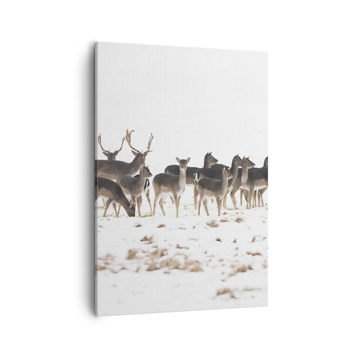 Vászonkép - Közelednek az ünnepek? - 50x70 cm