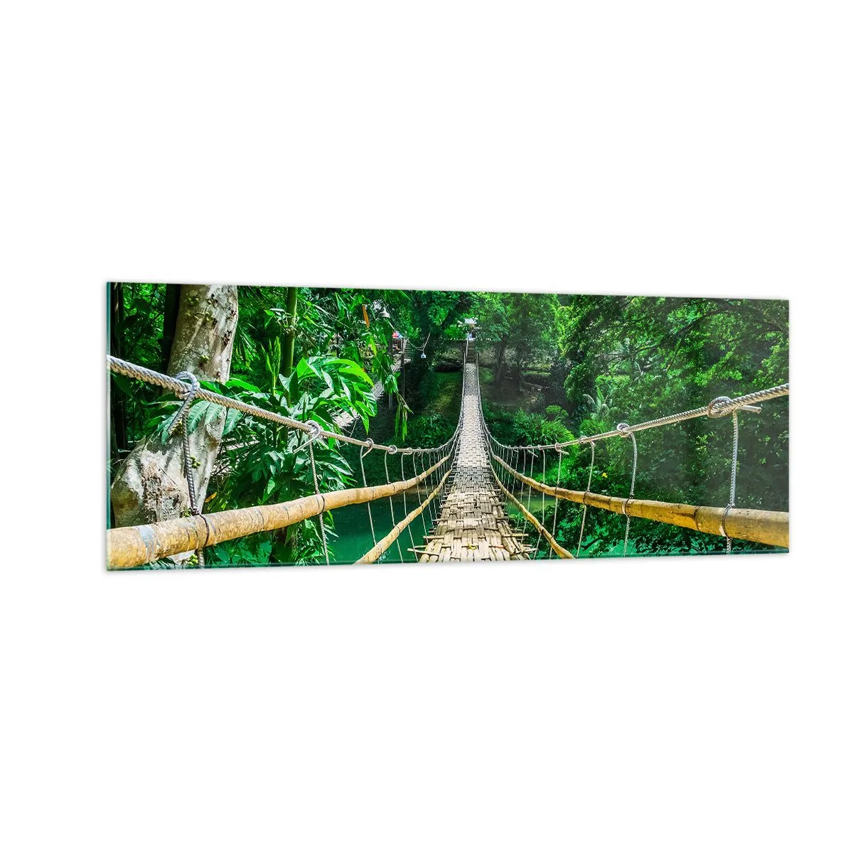 Üveg kép - Majomhíd a zöld felett - 140x50 cm