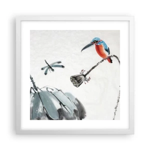 Poszter fekete keretben - A rét élete - 40x40 cm