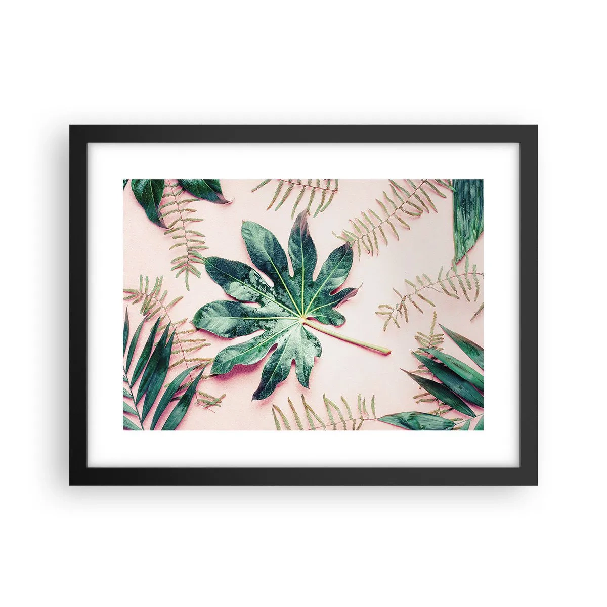 Poszter fehér keretben - A zöld tanulmánya a rózsaszín háttérben - 40x30 cm