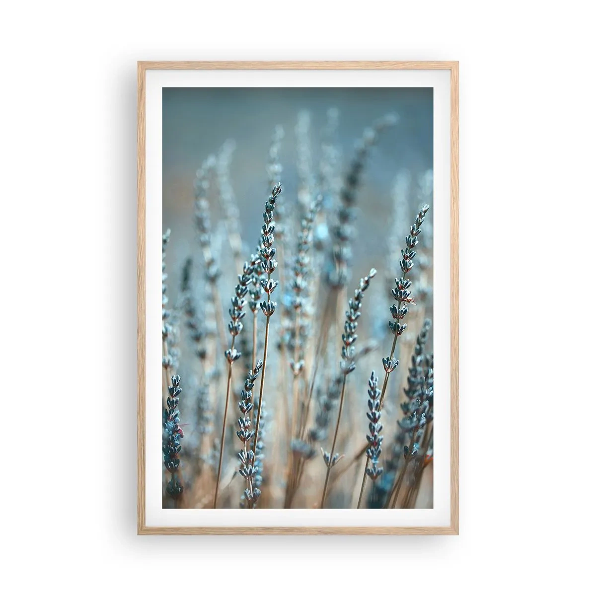 Poszter világos tölgy keretben - Illatos szálak - 61x91 cm