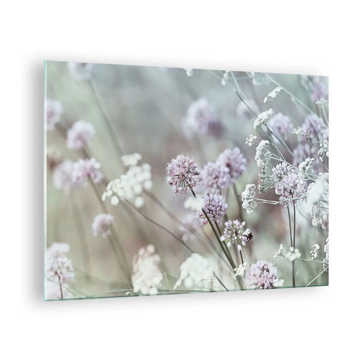 Üveg kép - Finom vadvirágok pasztell árnyalatokban - 70x50cm - Fűszerek édes filigránja - Modern fali dekoráció nappalihoz és hálószobához ARTTOR