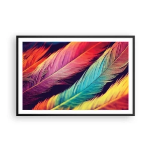 Poszter fehér keretben - Tollas szivárvány - 91x61 cm