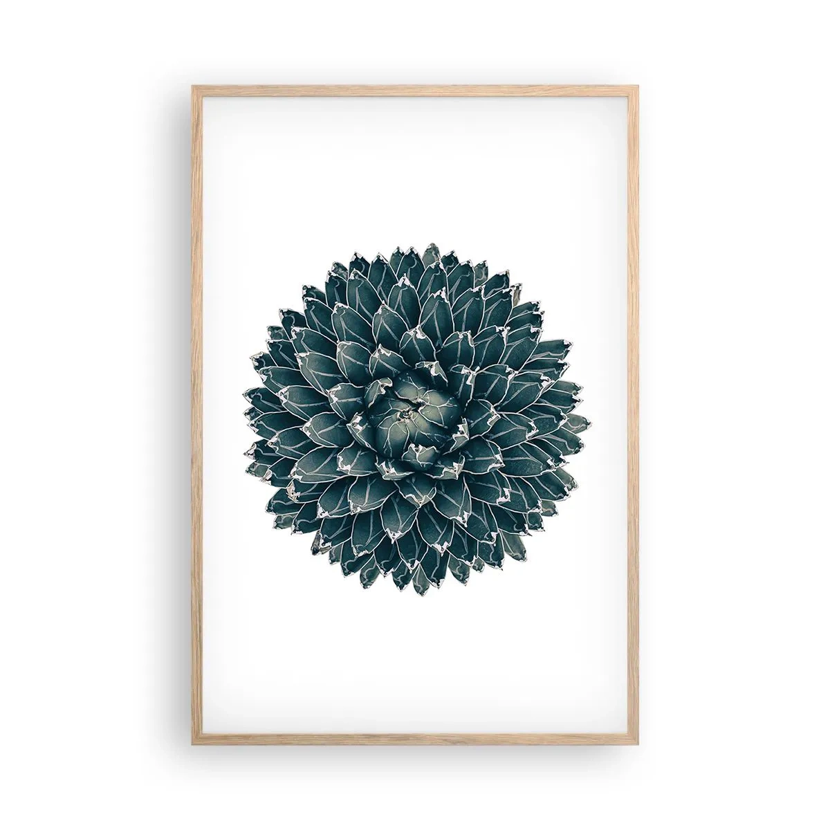 Poszter világos tölgy keretben - A sivatag csillaga - 61x91 cm