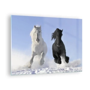 Üveg kép - Egy fekete-fehér ló fut át a hóban egy téli tájban - 70x50cm - Fekete-fehér galopp - Modern fali dekoráció nappalihoz és hálószobához ARTTOR