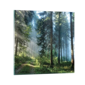 Üveg kép - Sugárzó reggel - 50x50 cm