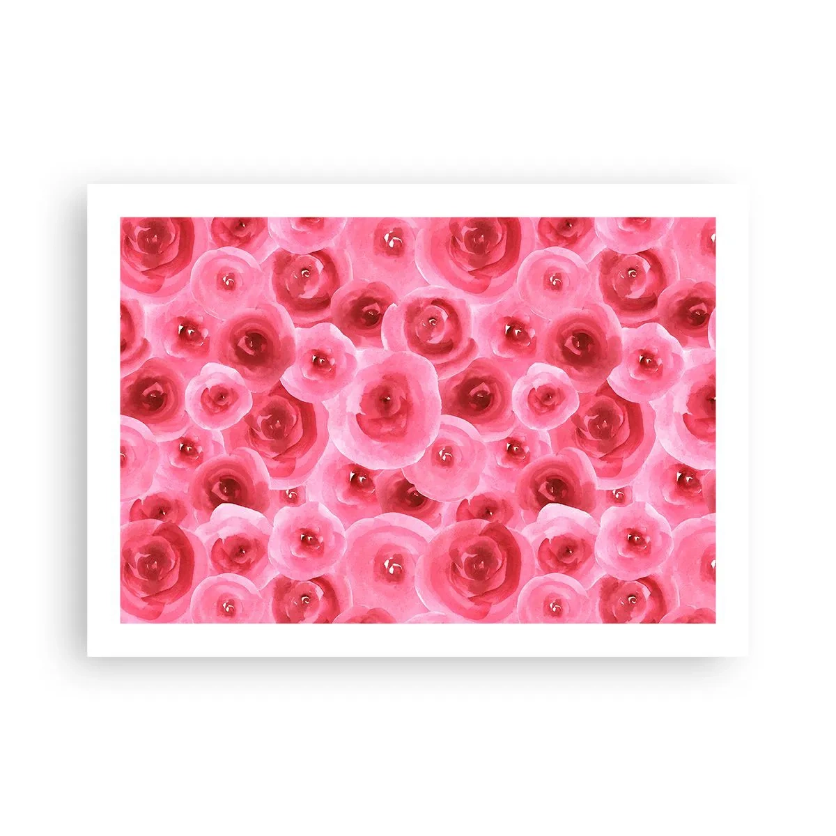 Poszter - Rózsák alul és felül - 70x50 cm