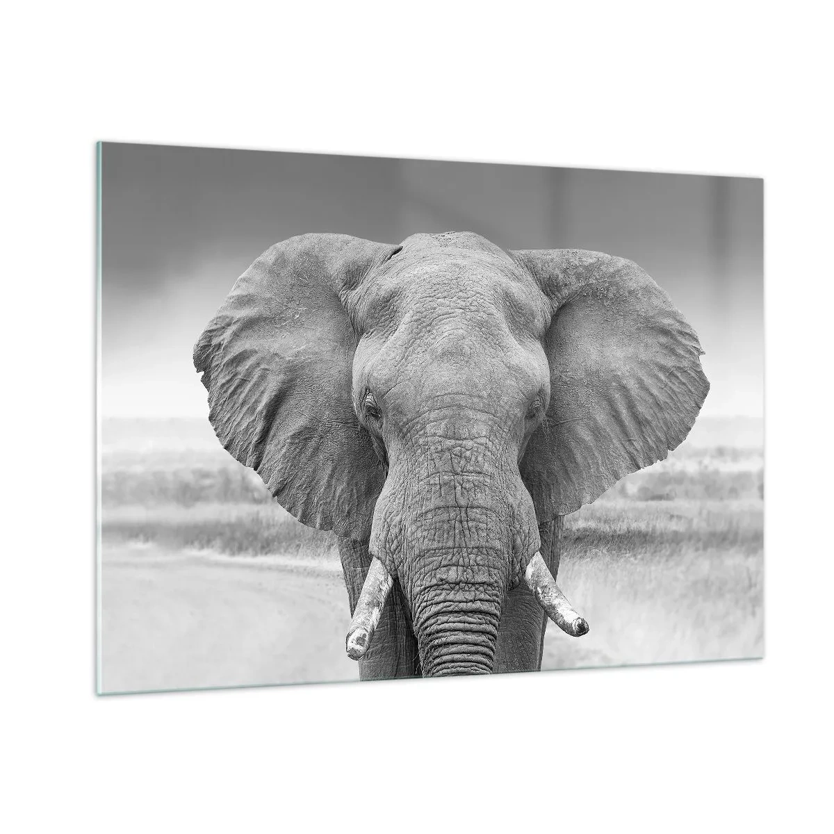 Üveg kép - Üdv a világomban - 100x70 cm