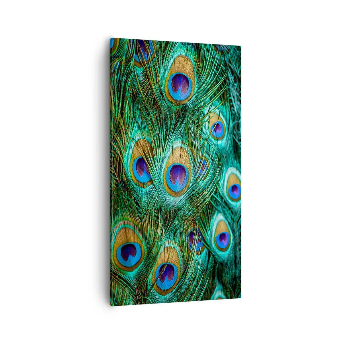 Vászonkép - Pávaszemű pillantás - 55x100 cm