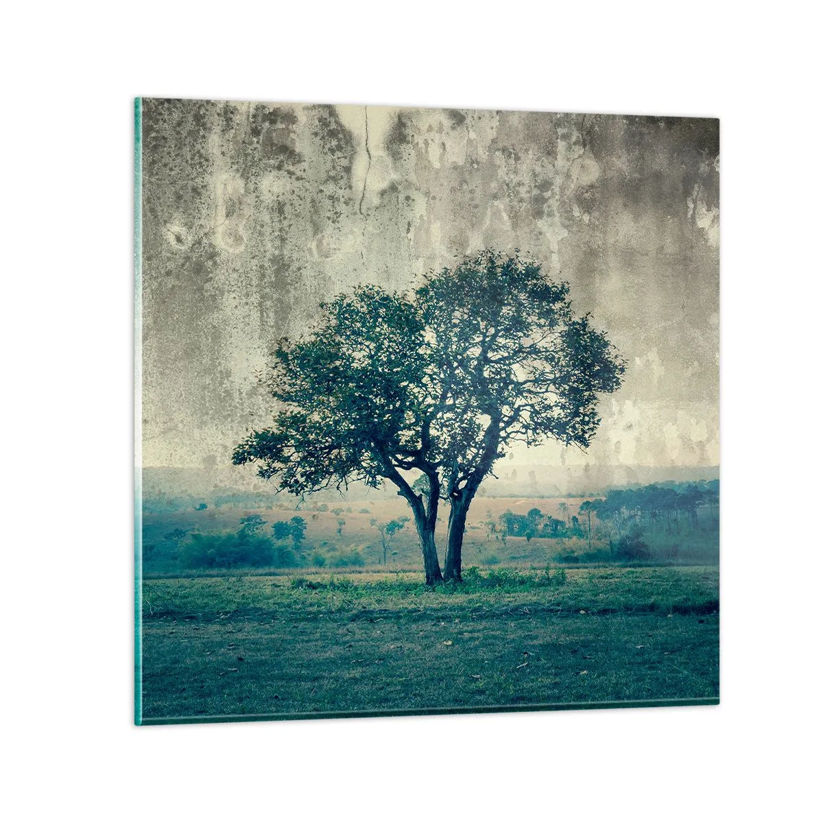 Üveg kép - Almafa a kék mezőn? - 60x60 cm