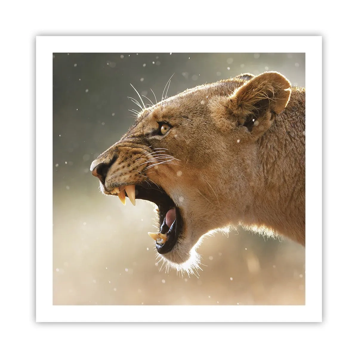 Poszter - Próbálj meg nem hallgatni - 60x60 cm