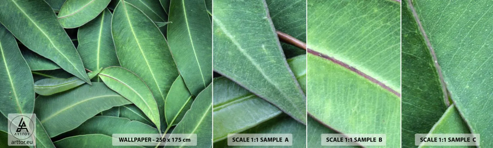 Fotótapéta Minta Öntapadós Deluxe Sticker - Lédús és friss - Levelek, Eukaliptusz, Természet - 100x30 cm