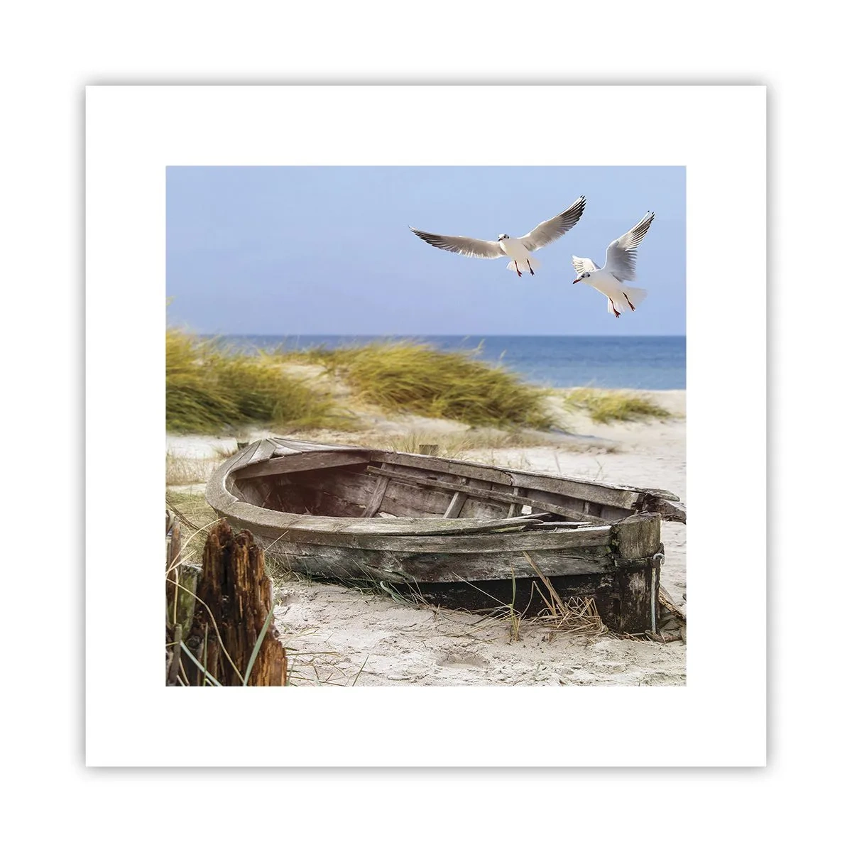 Poszter - Szélben fürödve - 30x30 cm