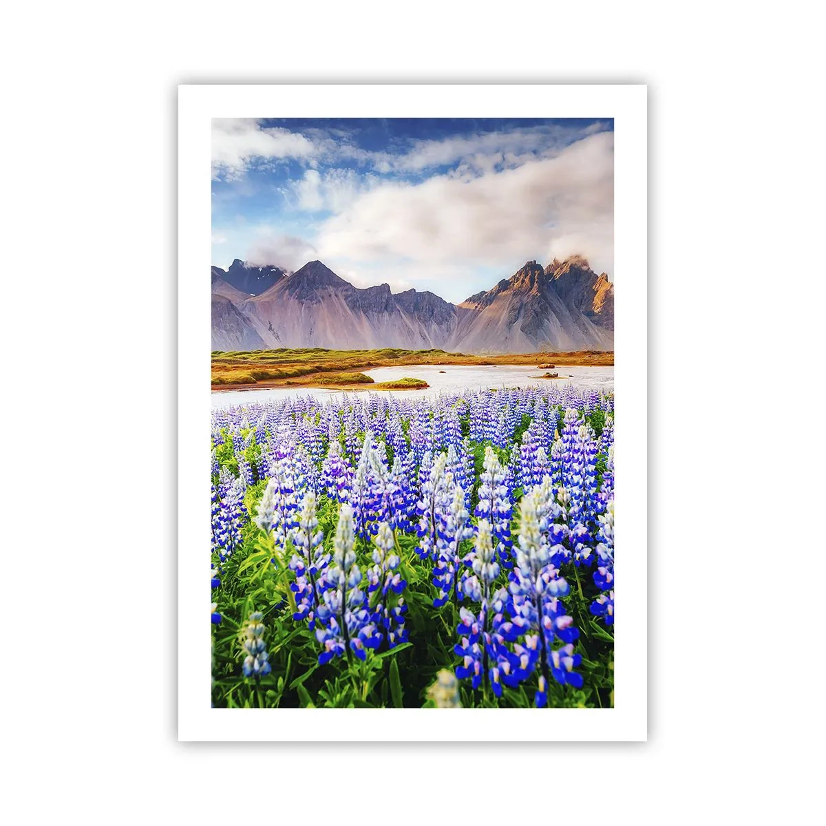 Poszter - Erő és szigorúság a szelídség mellett - 50x70 cm