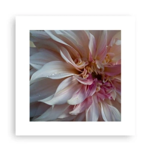 Poszter - Virágzó frissesség - 30x30 cm