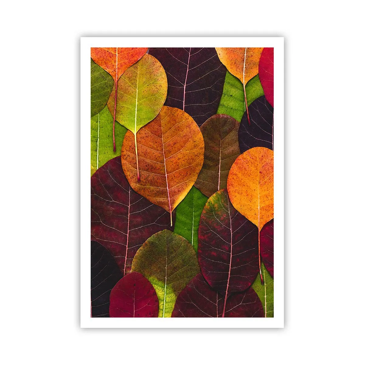 Poszter - Őszi mozaik - 70x100 cm