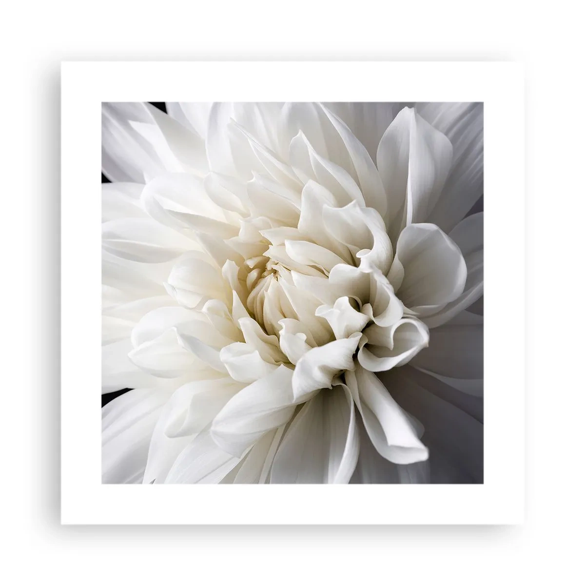 Poszter - Menyasszony reggele - 40x40 cm