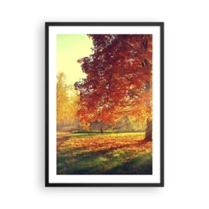 Poszter fehér keretben - Őszi park egy fával, aranyló levelekkel a napon - 50x70cm - A vörös gyönyörű - Modern fali dekoráció nappalihoz és hálószobához ARTTOR