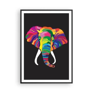 Poszter fehér keretben - Az elefánt, aki szeretett a szivárványban fürödni - 70x100 cm