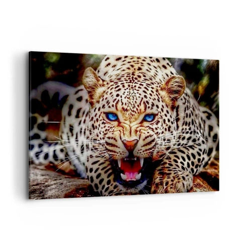 Vászonkép - A szépség nem árt a haragnak - 100x70 cm