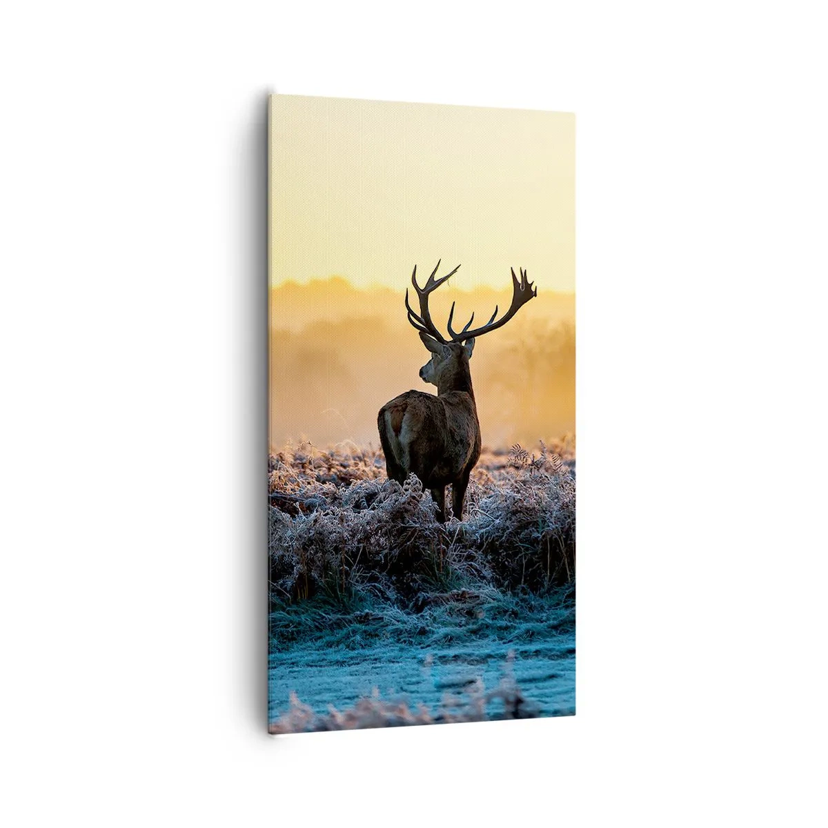 Vászonkép - Megkoronázott a birtokán - 65x120 cm