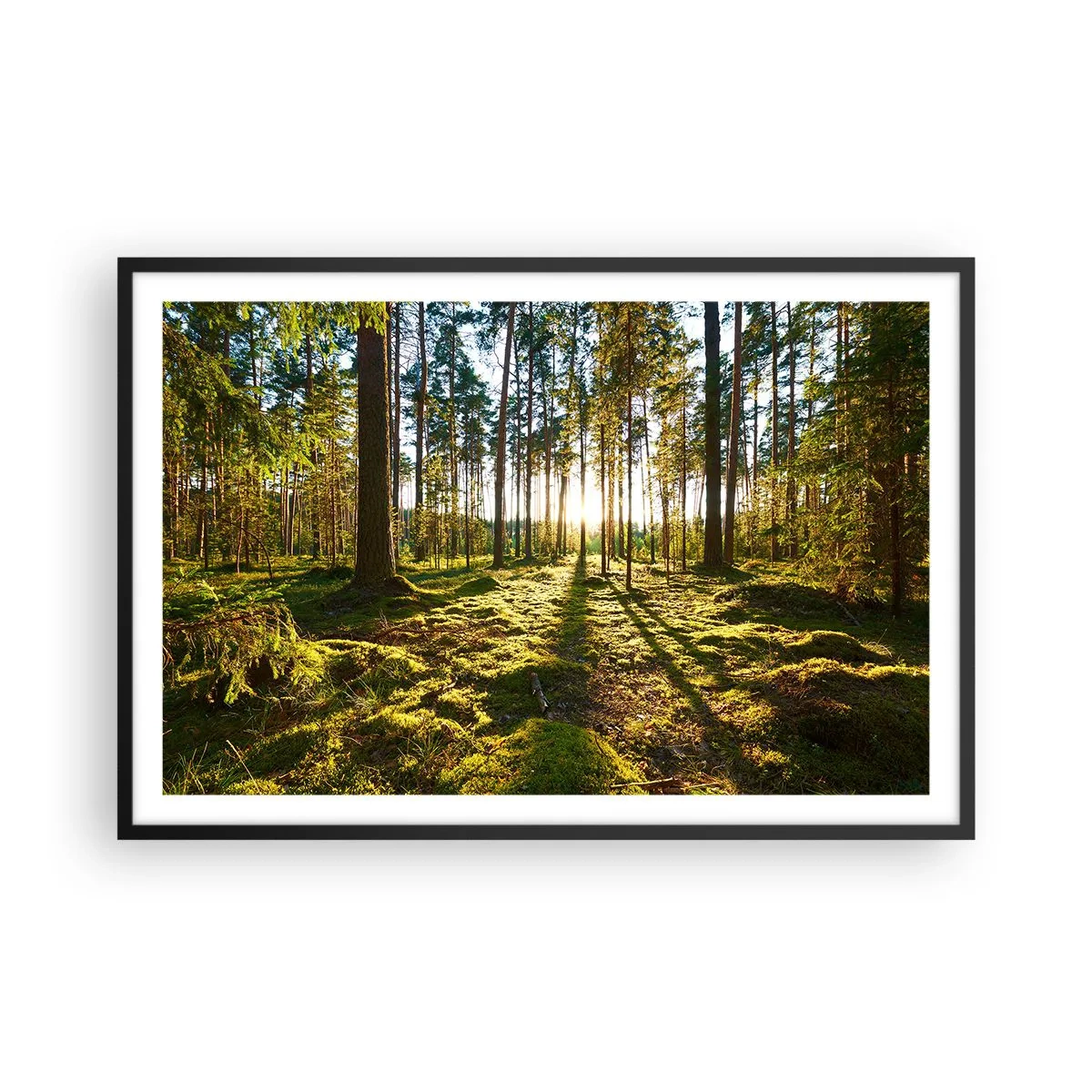Poszter fehér keretben - … A hét erdőn túl - 91x61 cm