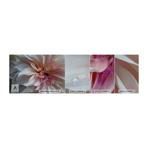 Fotótapéta Minta Premium Canvas - Virágzó frissesség - Virág, Dália, Növény - 100x30 cm