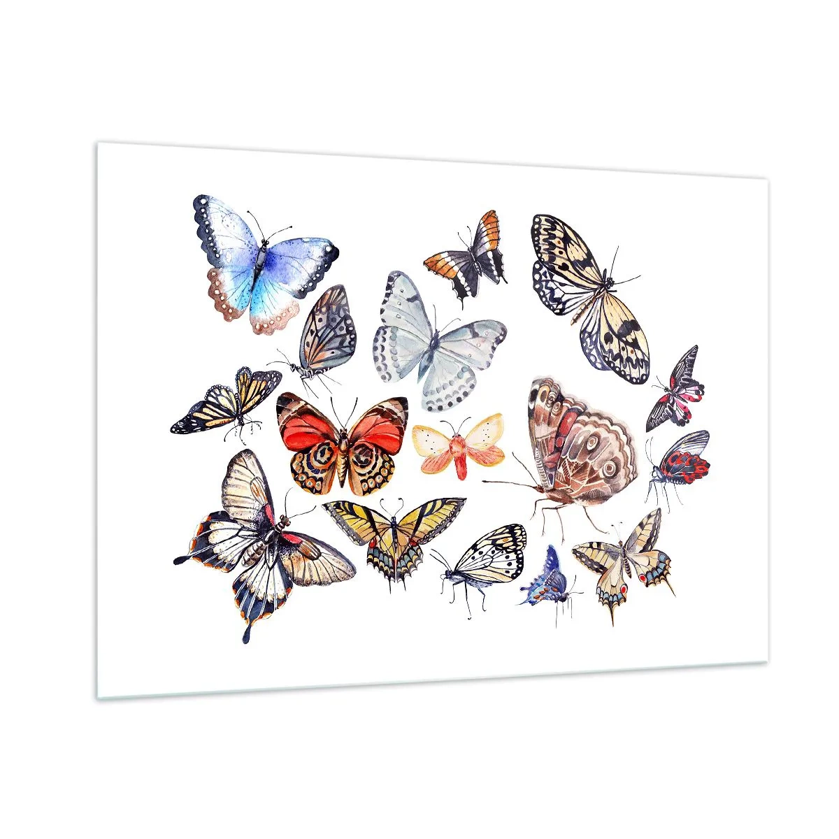 Üveg kép - Csipkés, színes raj - 100x70 cm