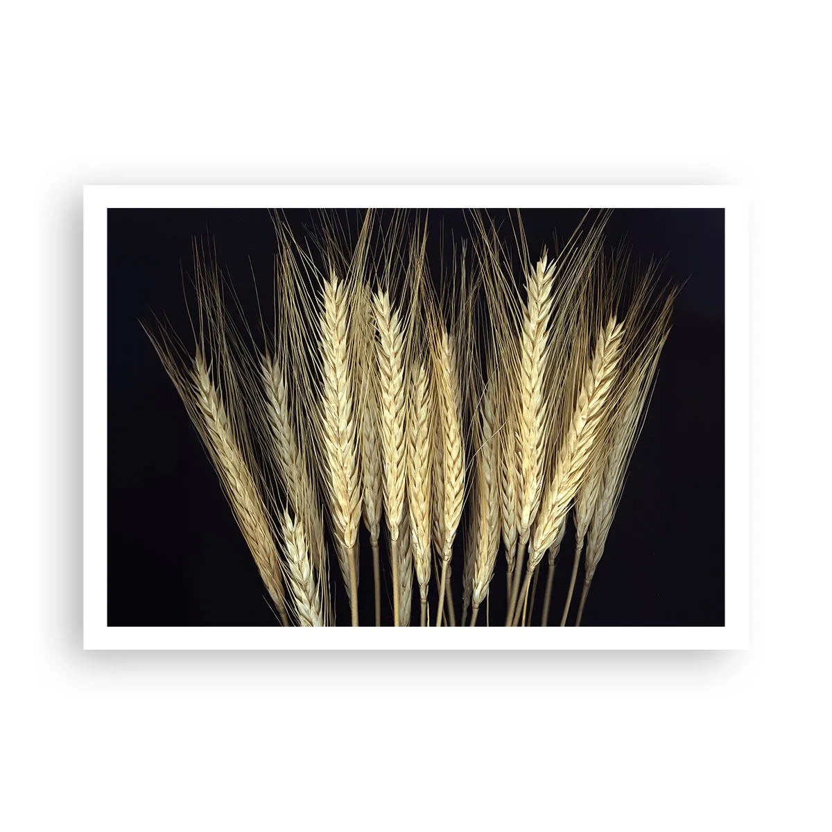 Poszter - Rusztikus varázslat - 100x70 cm