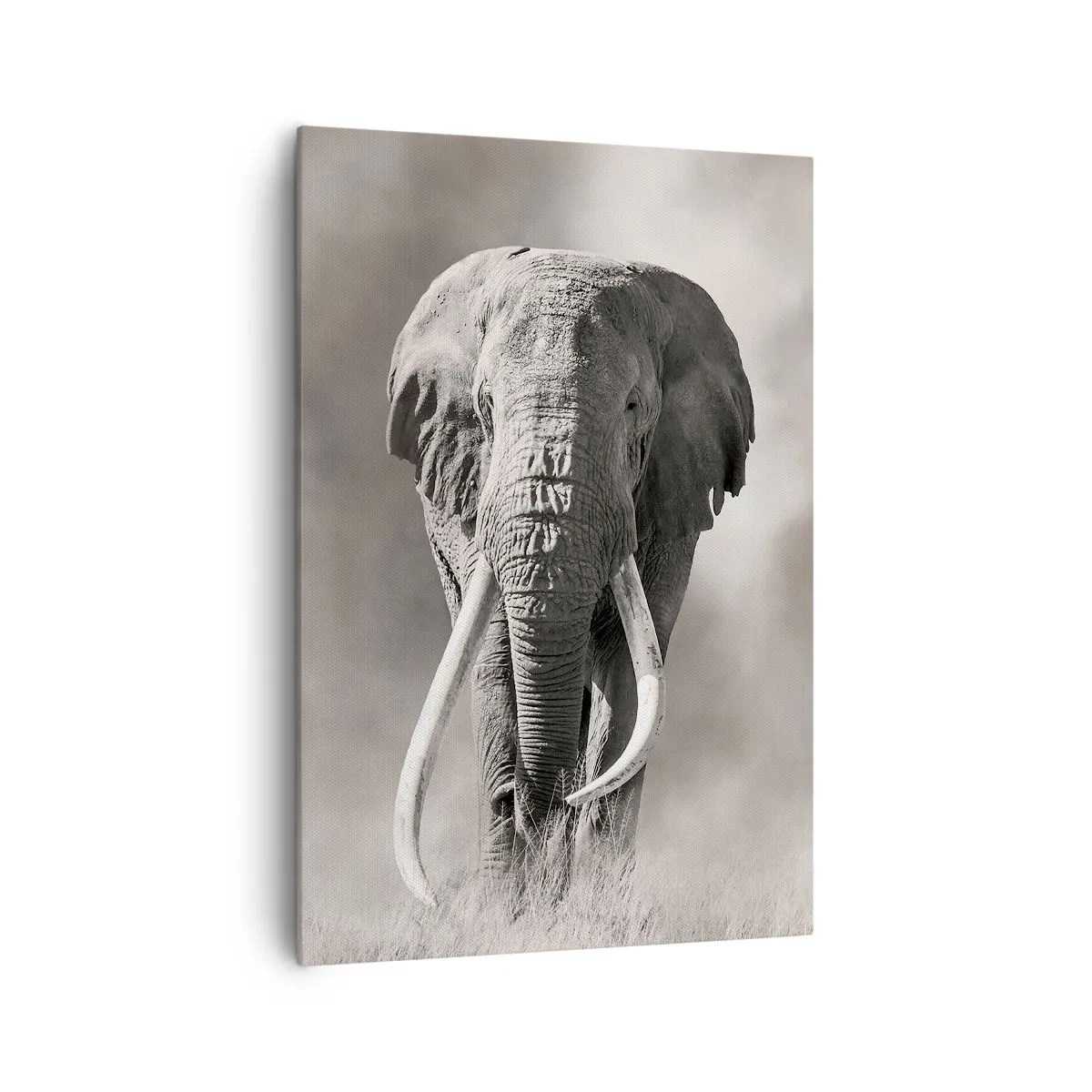 Vászonkép - Afrikai patriarcha - 70x100 cm