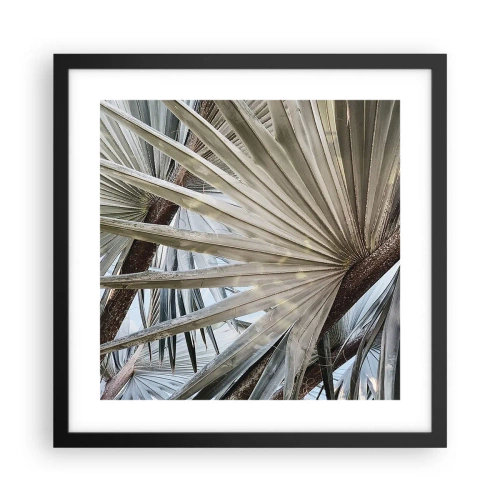 Poszter fehér keretben - Legyező a trópusokon - 40x40 cm