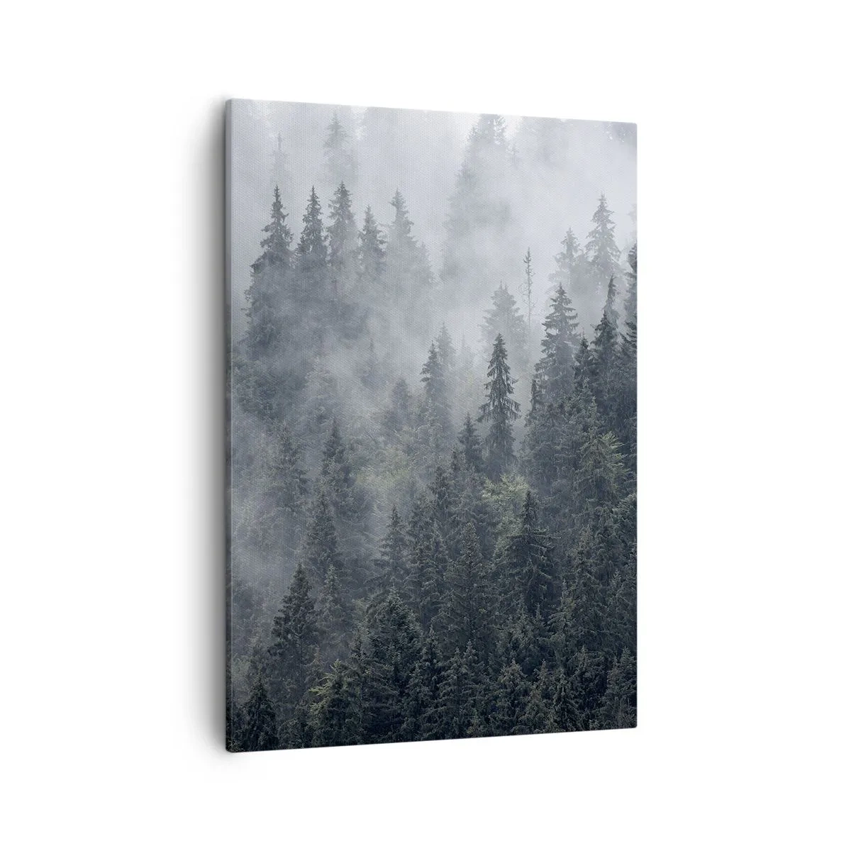 Vászonkép - Erdei hajnal - 50x70 cm