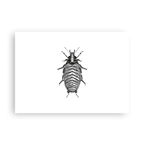 Poszter - Micsoda példány! - 70x50 cm