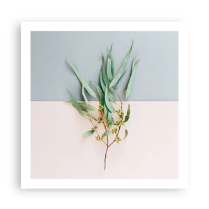 Poszter - Pasztell finomság - 60x60 cm