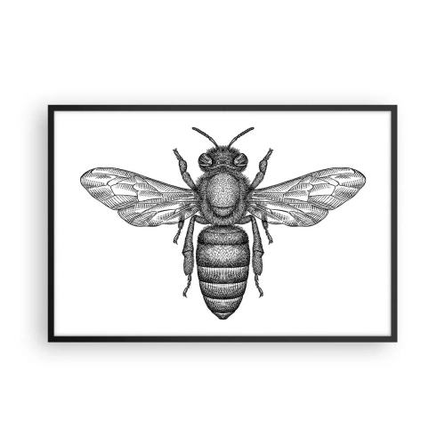 Poszter fehér keretben - Rovar portré - 91x61 cm