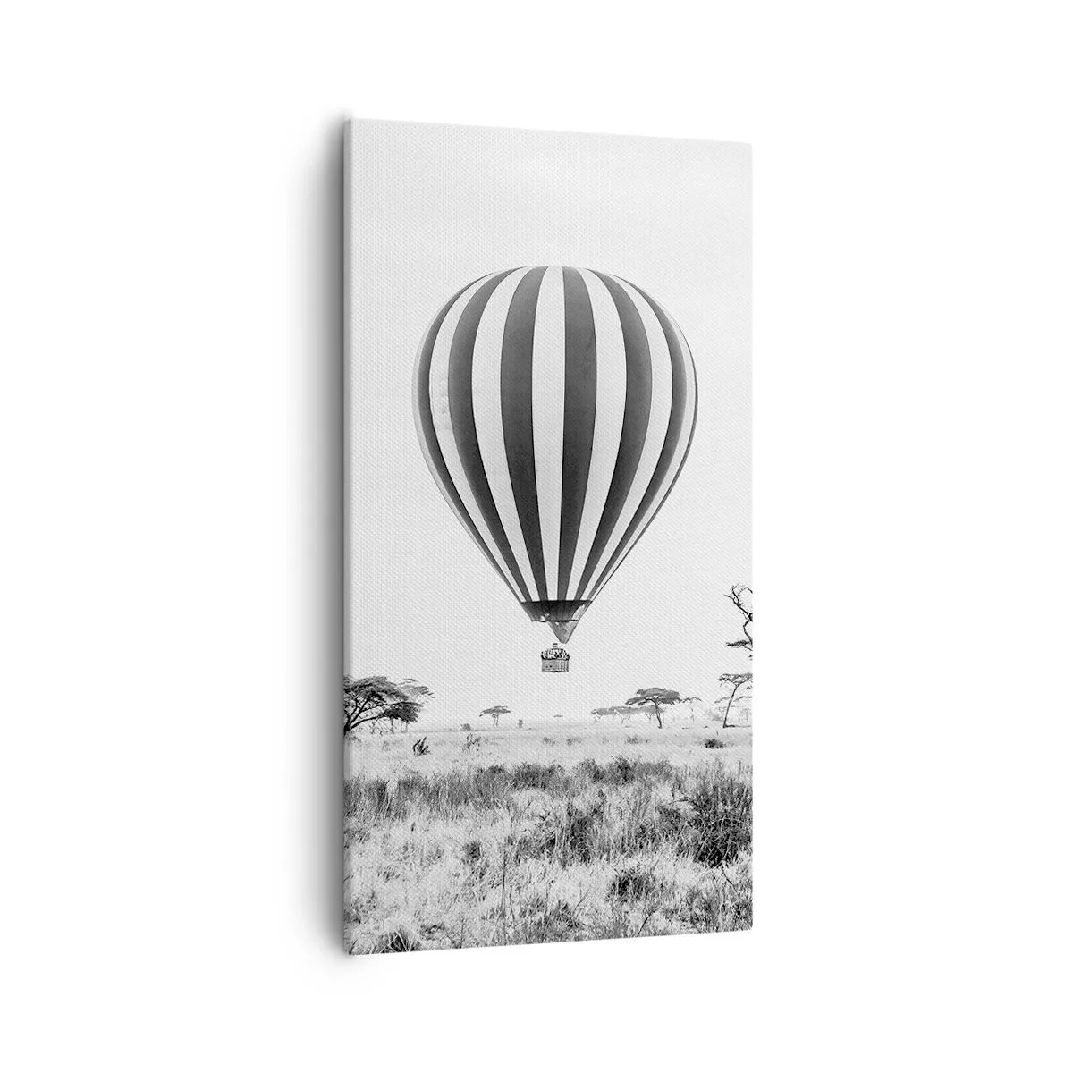 Vászonkép - A szavanna felett - 55x100 cm