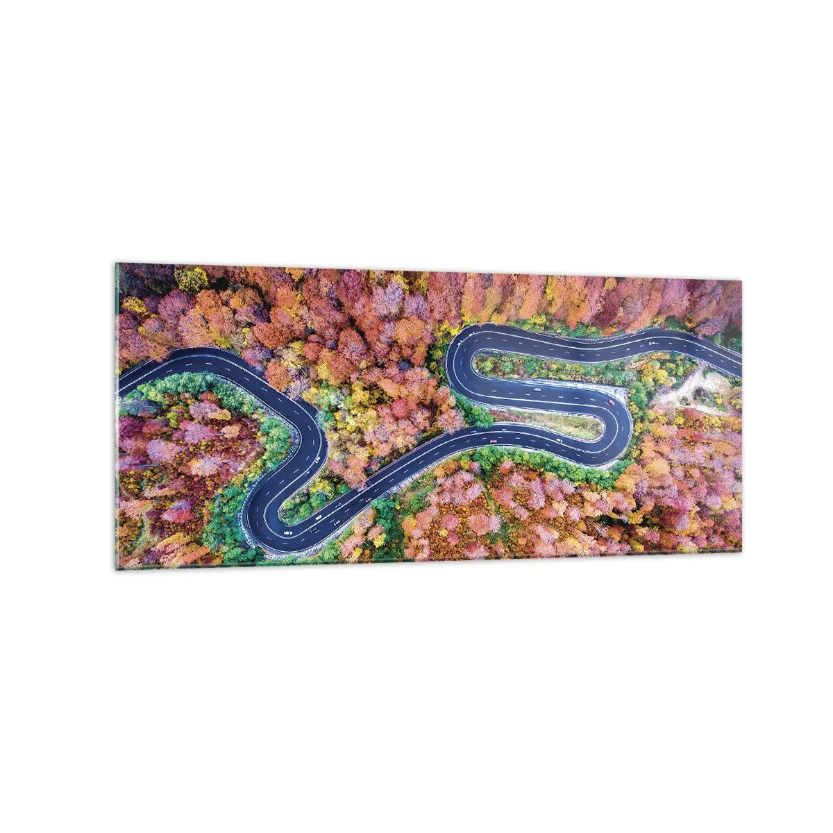 Üveg kép - Kanyargós út az erdőn keresztül - 120x50 cm