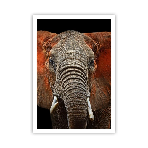 Poszter - Én vad vagyok, és te? - 70x100 cm