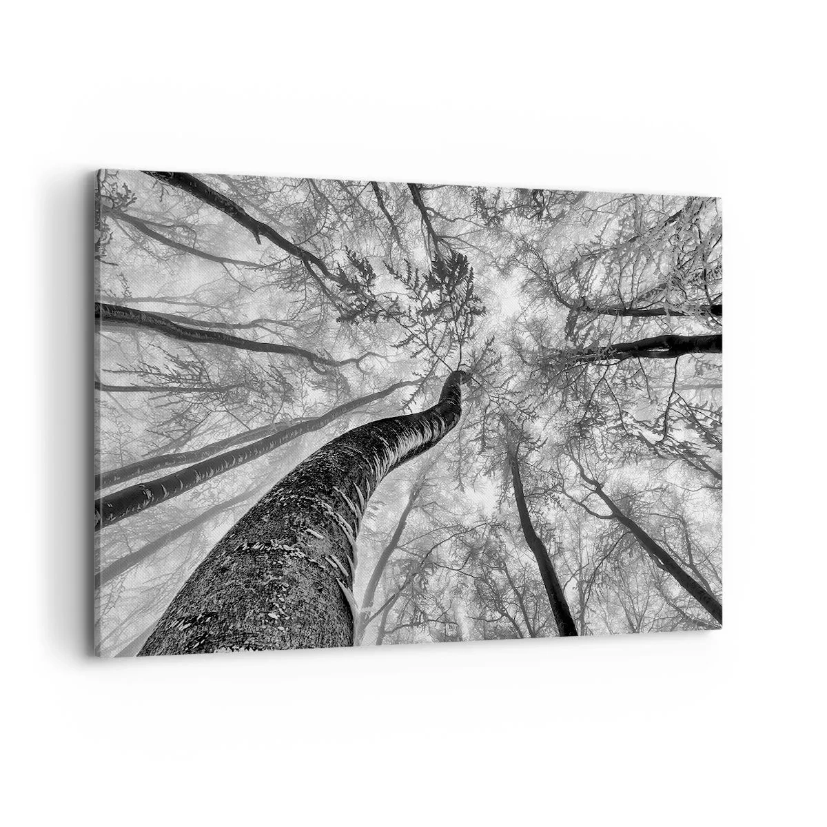 Vászonkép - Verseny a fény felé - 120x80 cm