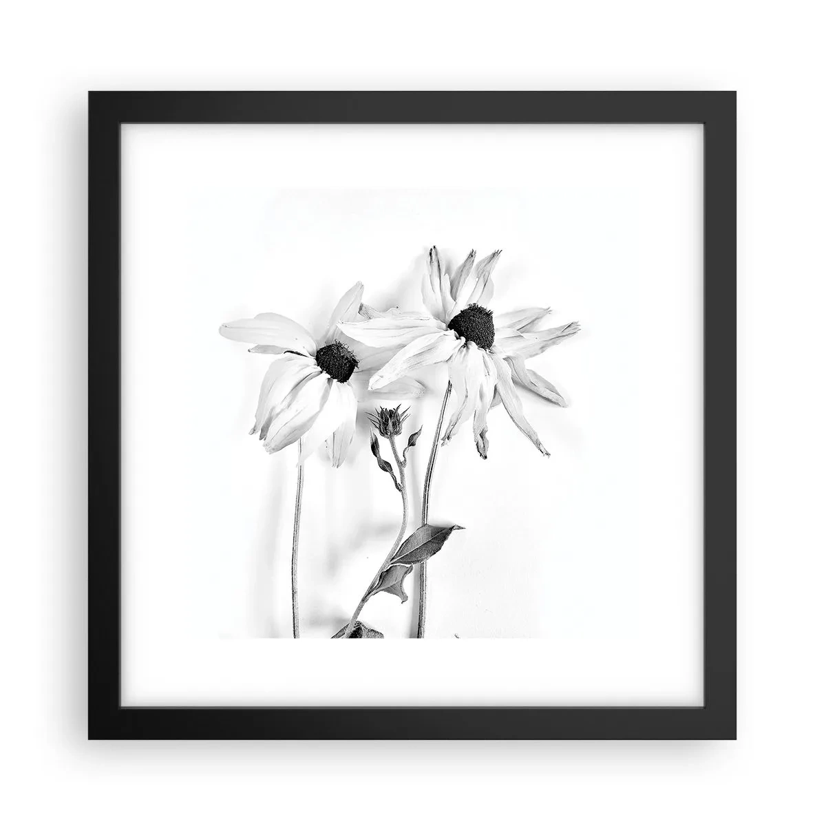 Poszter fehér keretben - Senki sem akar egyedül lenni - 30x30 cm