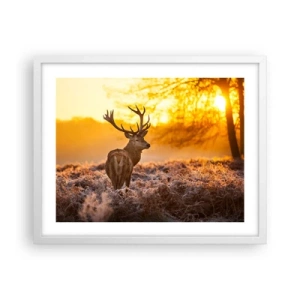 Poszter fekete keretben - Az őszi erdő királya - 50x40 cm