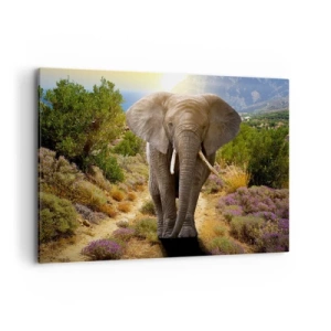 Vászonkép - Így nézett ki Eden - 100x70 cm