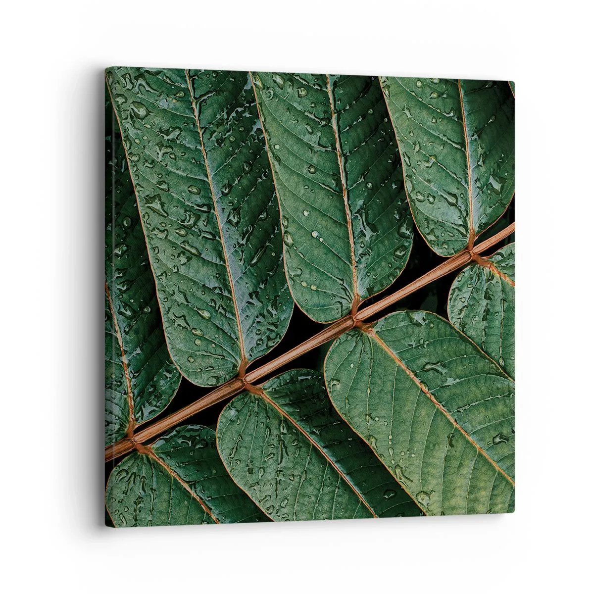 Vászonkép - Zöld ritmusban - 30x30 cm