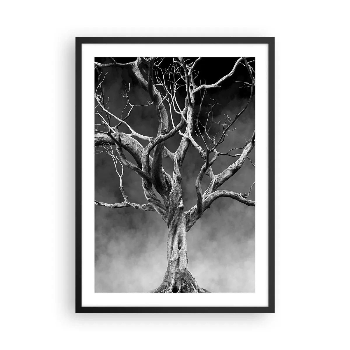 Poszter fehér keretben - Fekete-fehér kép egy fáról ködös háttér előtt - 50x70cm - Ősi és szent - Modern fali dekoráció nappalihoz és hálószobához ARTTOR