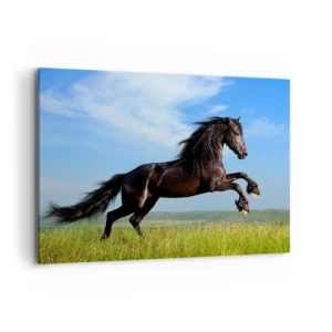 Vászonkép - A szabadság izgalmas kiáltványa - 100x70 cm