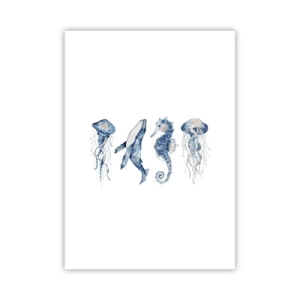 Poszter - Tengeri csodák - 50x70 cm